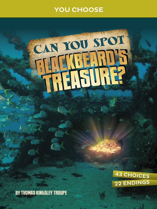 Title details for Can You Spot Blackbeard's Treasure? by Thomas Kingsley Troupe - Wait list